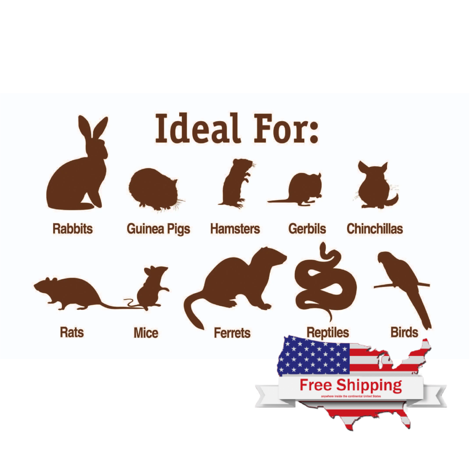 pets that like timothy hay