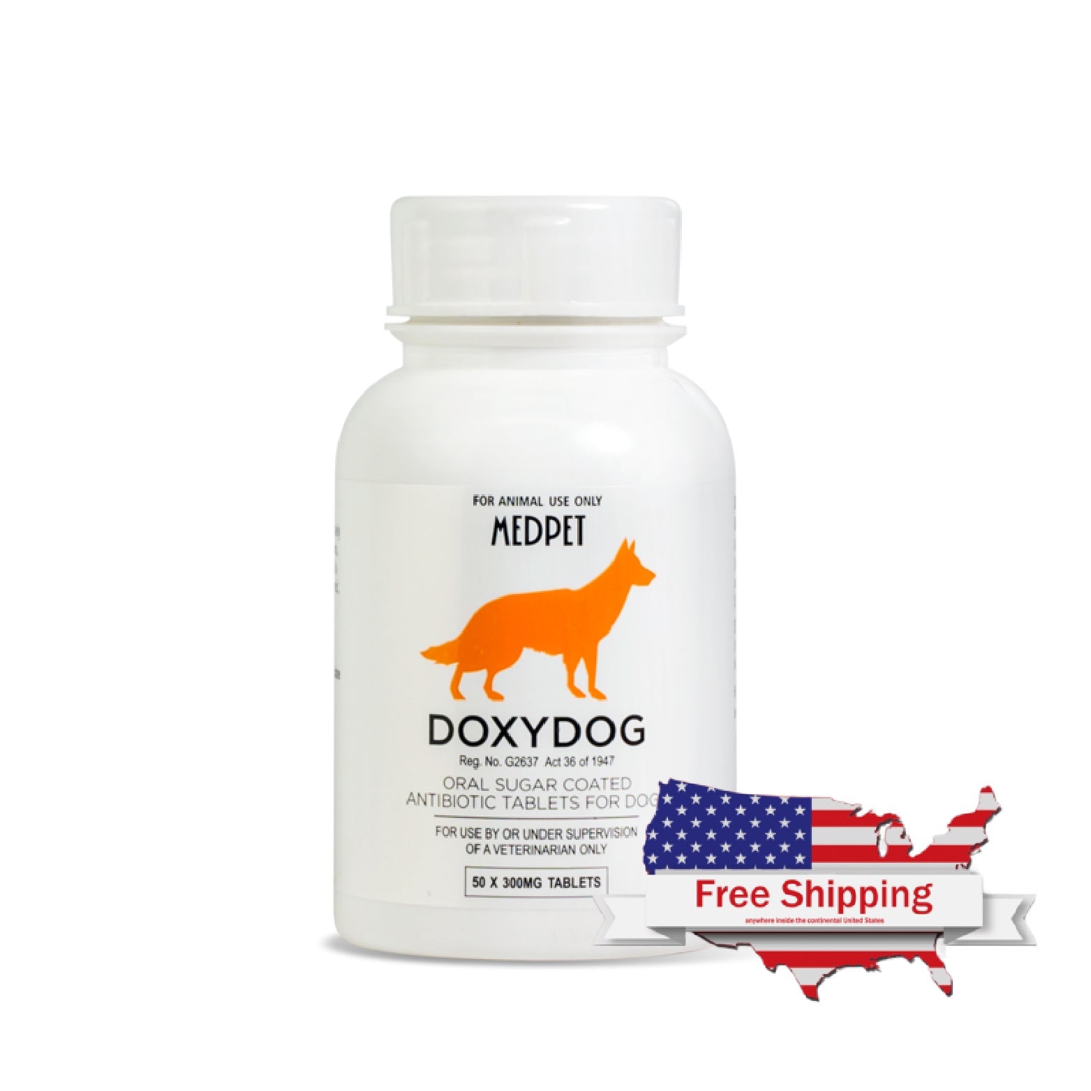 Canine Ehrlichia Treatment