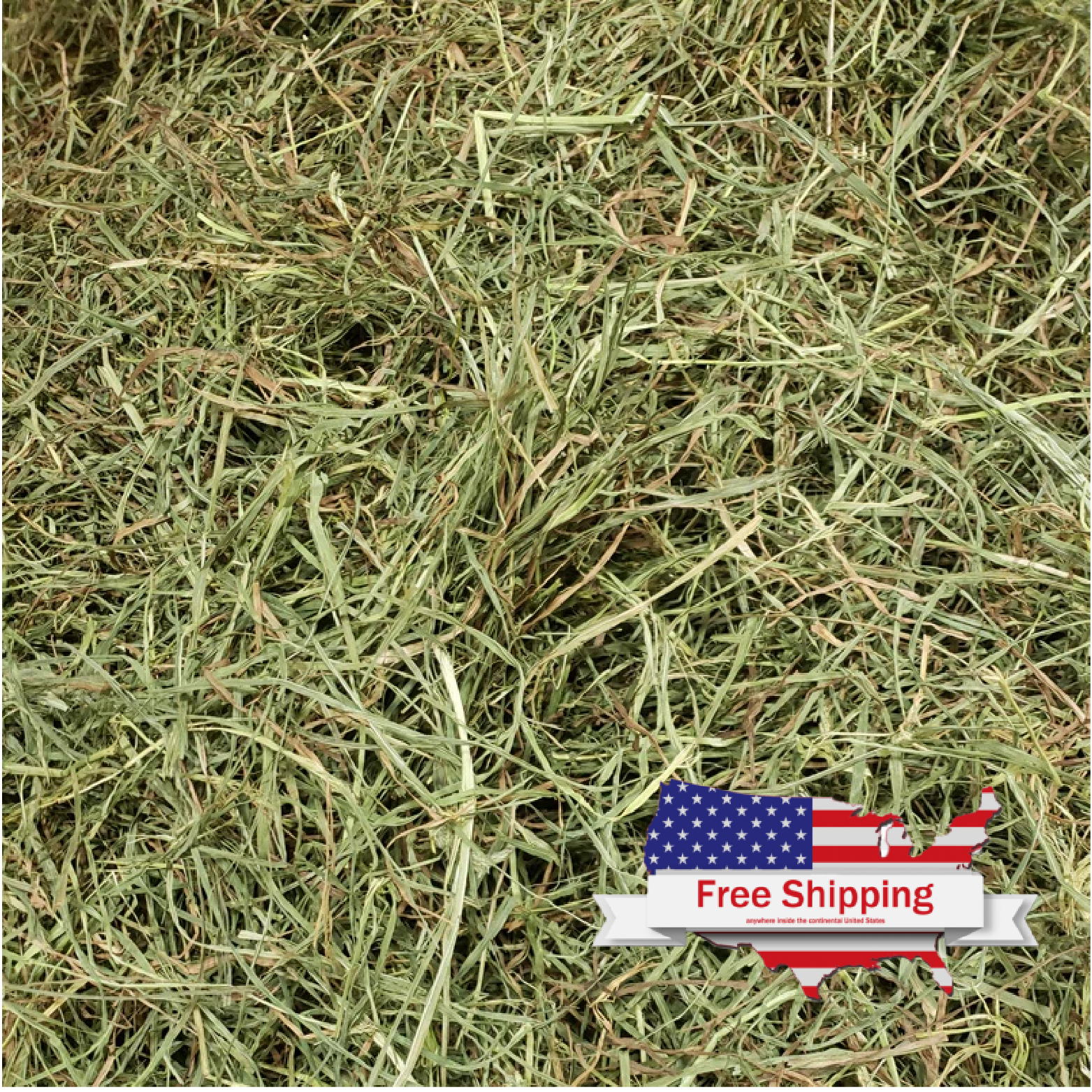 Hay for Small Pets